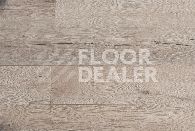 Ламинат My Step Mega 12 ms 2212 Дуб Рио фото 1 | FLOORDEALER